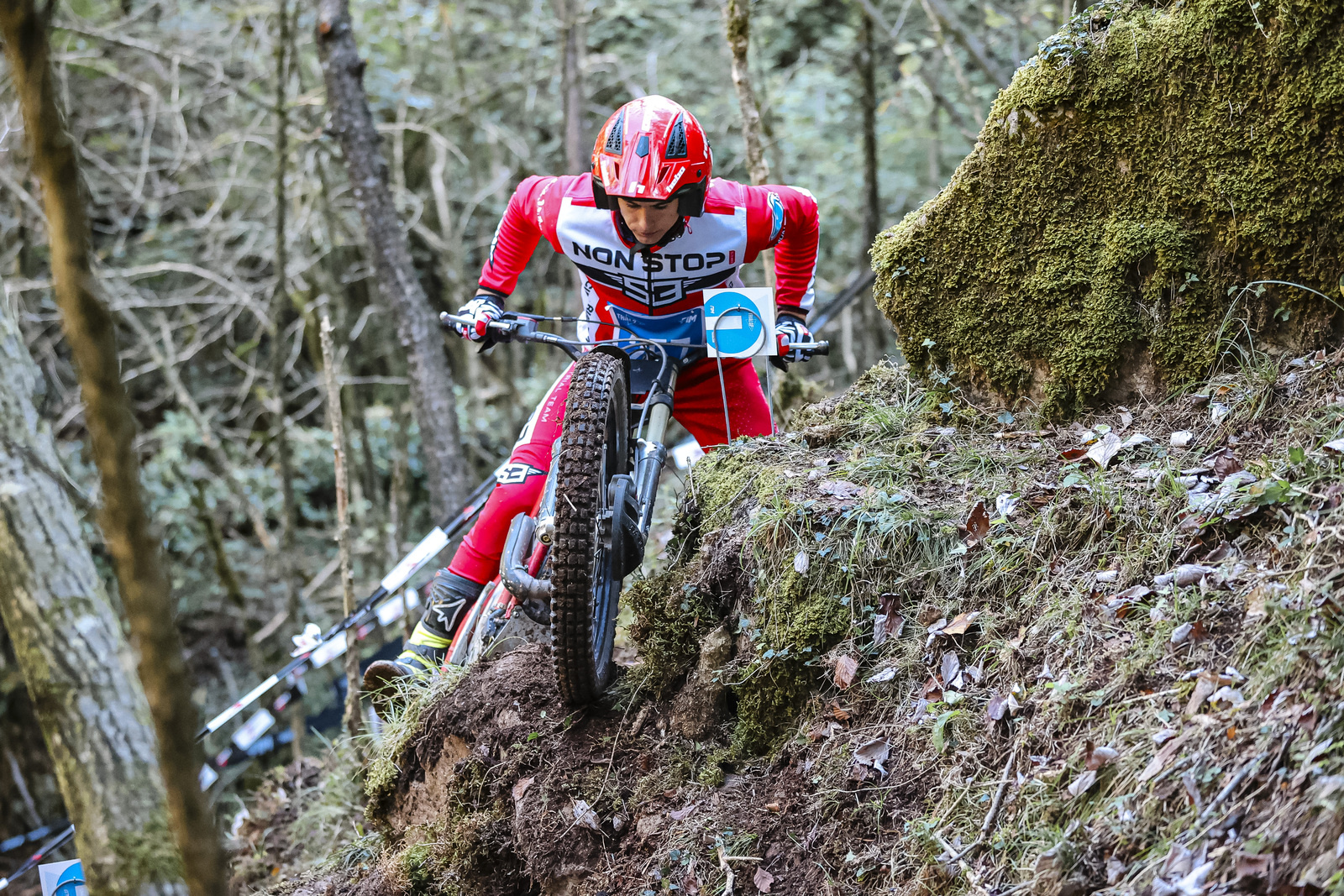 Piloto en una zona de Trial sobre un descenso boscoso